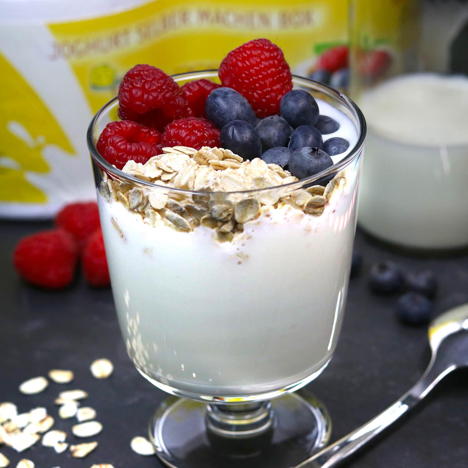 Selbst gemachter Joghurt